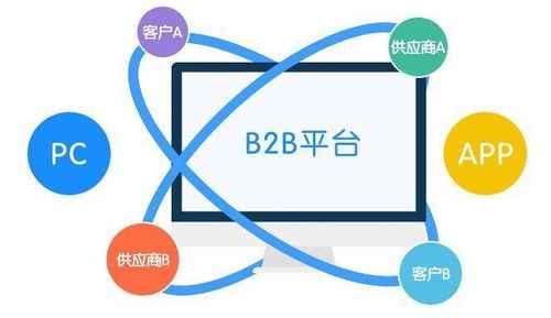 B2B与科技金融的软件开发 核心差异与驱动逻辑